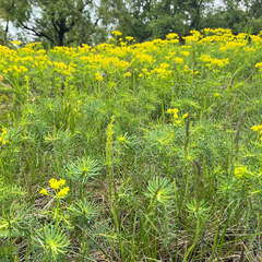 22-04-25 12-39-56 0627